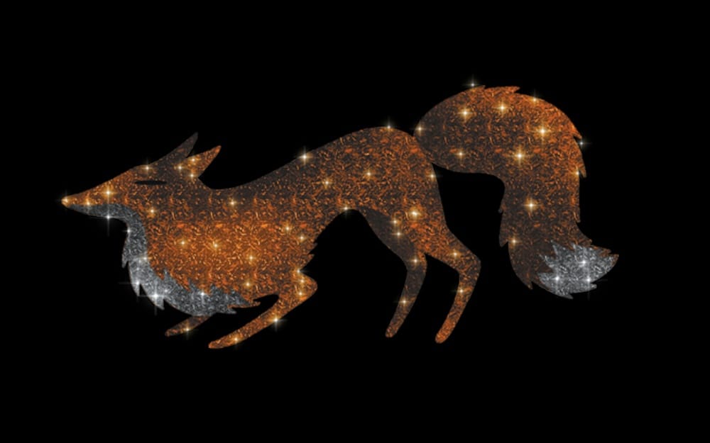 Lis 01