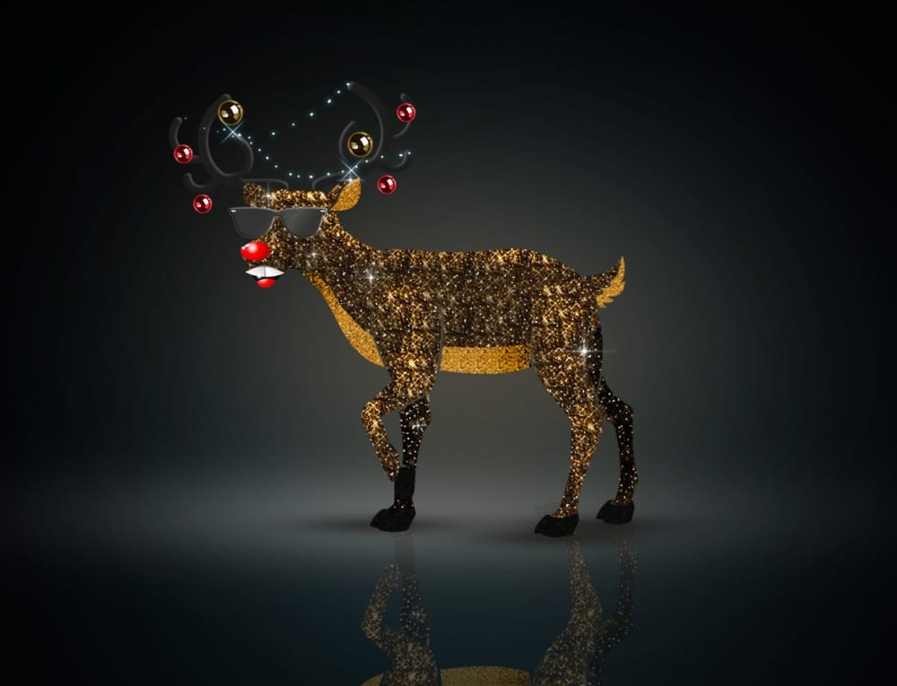 Rudolf 010/2020